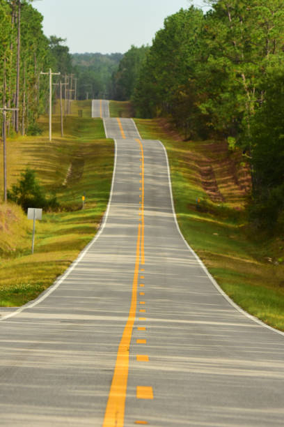Paved road following the hilly topography as it stretches off into the forested horizon. Photo taken in Northwest Florida. Nikon D7200 with Nikon 200mm macro lens.