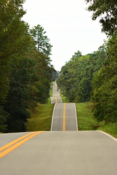 istock View down right lane of two-lane road over hilly terrain through pine forest 1183768053