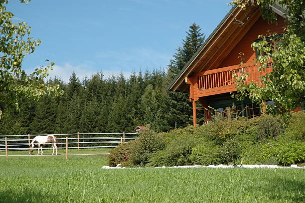 istock Timber House and Horse on a Paddock 118377155