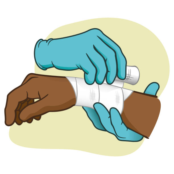 Ilustración de Ilustración De Manos De Primeros Auxilios Haciendo Vendaje De Vendaje Ascendencia Africana Ideal Para Catálogos Médicos Informativos Y Material Institucional y más Vectores Libres de Derechos de Venda - iStock Ilustración de Ilustración De Manos De Primeros Auxilios Haciendo Vendaje De Vendaje Ascendencia Africana Ideal Para Catálogos Médicos Informativos Y Material Institucional y más Vectores Libres de Derechos de Venda - iStock