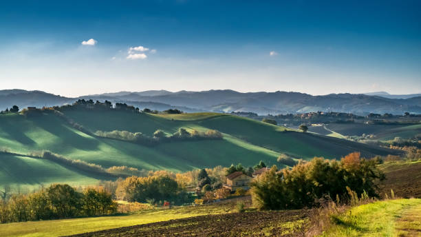 Shadows on the soft hills between Emilia-Romagna and Marche, Italy. Shadows in the morning on the soft hills between Emilia-Romagna and Marche, Italy. marche italy photos stock pictures, royalty-free photos & images