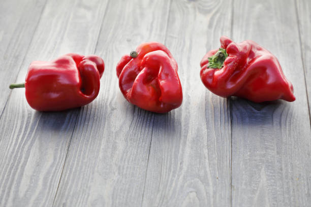 Red sweet pepper . stock photo