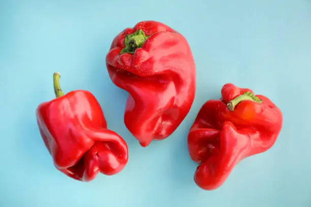 ugly vegetables, three peppers on a blue background.