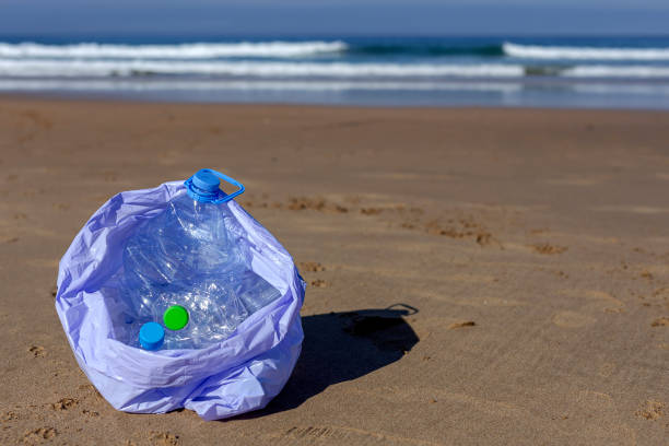 istock trash and plastics cleaning the beach 1183779010