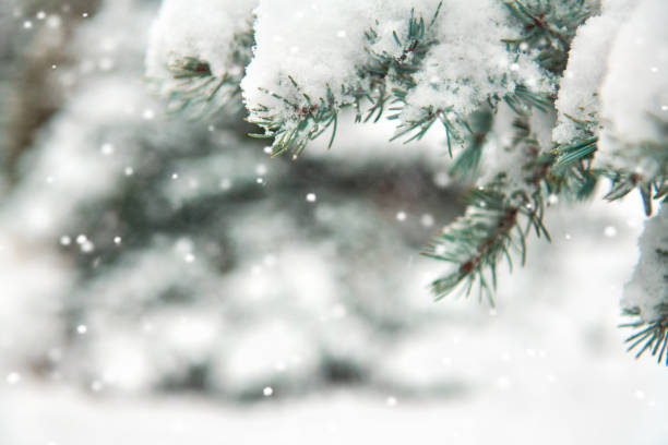 istock Beautiful winter landscape with snow covered trees 1183781078