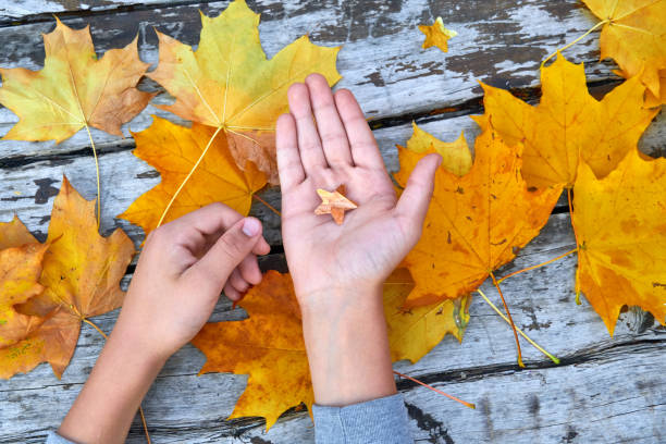 istock Hands with Autumn Leaves over wooden background 1183783230