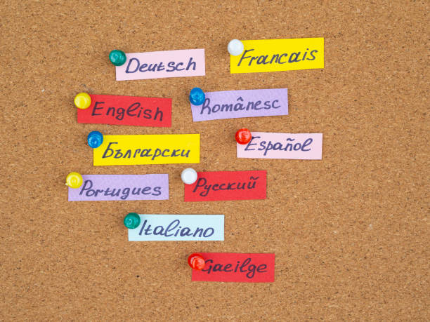 Flat lay Flash Cards with names of languages pinned on a cork board. Learning Language concept