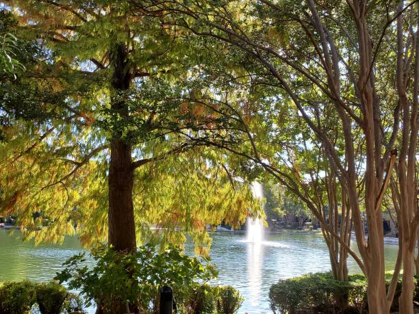 istock Shops at Legacy Lake and Fountain 1183783353