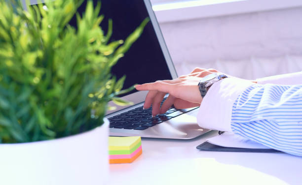 istock Female arms typing on black keyboard using laptop at office workplace closeup. View from behind the green flower. 1183783358