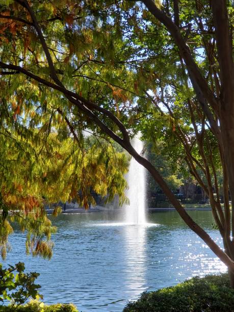 istock Shops at Legacy Lake and Fountain 1183783363
