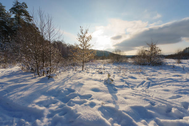 istock White snowy russian winter. 1183783573
