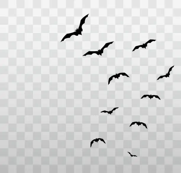 Vector illustration of Flying Halloween bats on transparent background. Vector