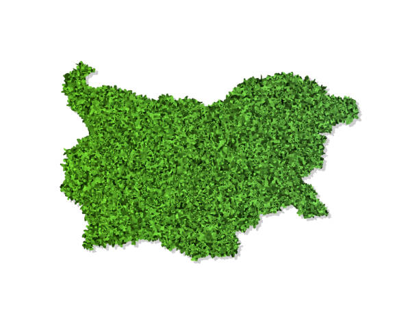 istock Vector isolated simplified illustration icon with green grassy silhouette of Bulgaria map. White background 1183786270