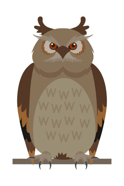 ilustrações de stock, clip art, desenhos animados e ícones de owl sitting on branch flat vector illustration - night perching owl