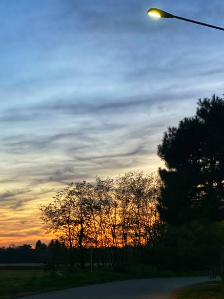 istock sunset at the park 1183791813