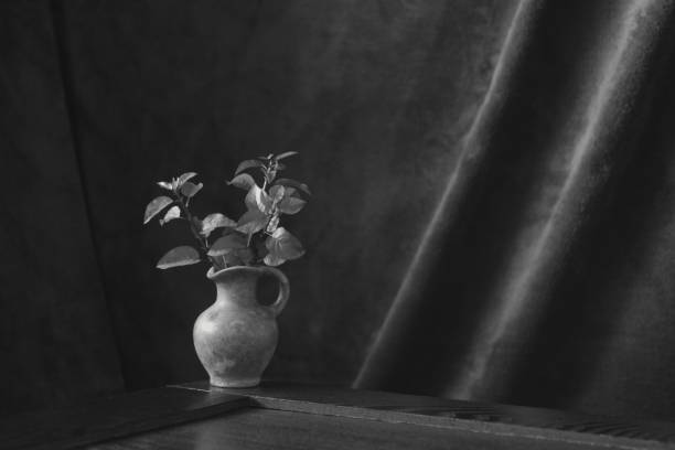 istock Black and white  background -  beautiful arrangement with leaves 1183793654
