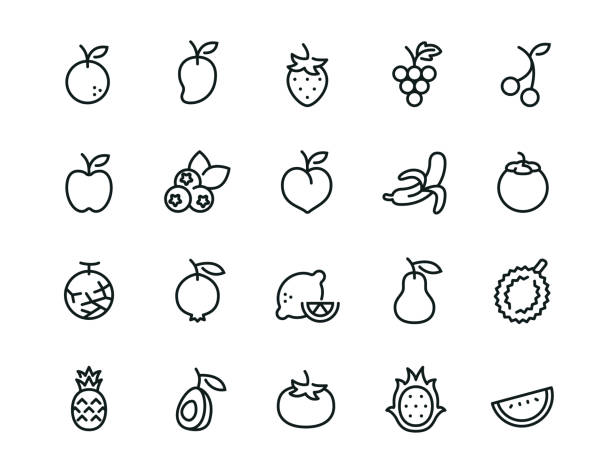 ilustraciones, imágenes clip art, dibujos animados e iconos de stock de conjunto de iconos de fruta mínima - trazo editable - frutas tropicales