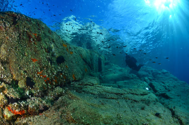 Underwater Elba Island stock photo