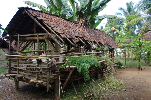 istock Village on the Java island in Indonesia 1183794026