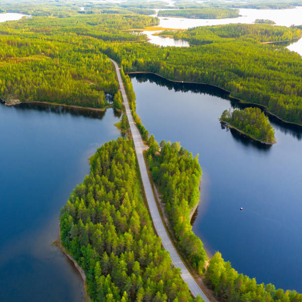 Aerial view of road between green summer forest and blue lake in Finland Aerial view of road between green summer forest and blue lake in Finland. saimaa stock pictures, royalty-free photos & images