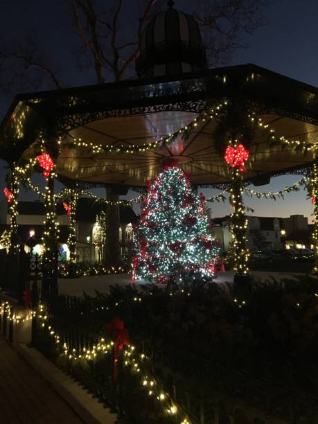 istock Christmas tree in a town Square 1183794970