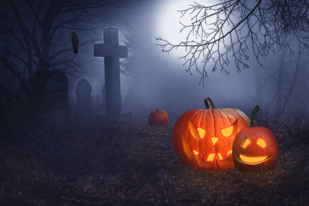 istock Spooky pumpkins in a forest 1183795160