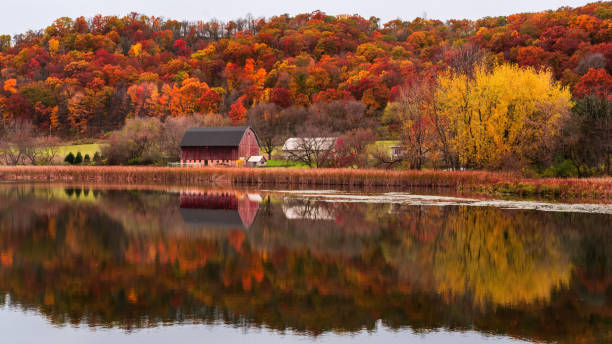 reflection of red barn during fall in southern minnesota - water lake reflection tranquil scene imagens e fotografias de stock