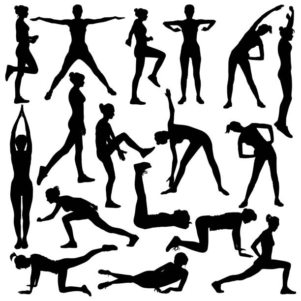 illustrations, cliparts, dessins animés et icônes de collection de la silhouette de vecteur de fille mince faisant l'échauffement. - stretching exercising gym silhouette