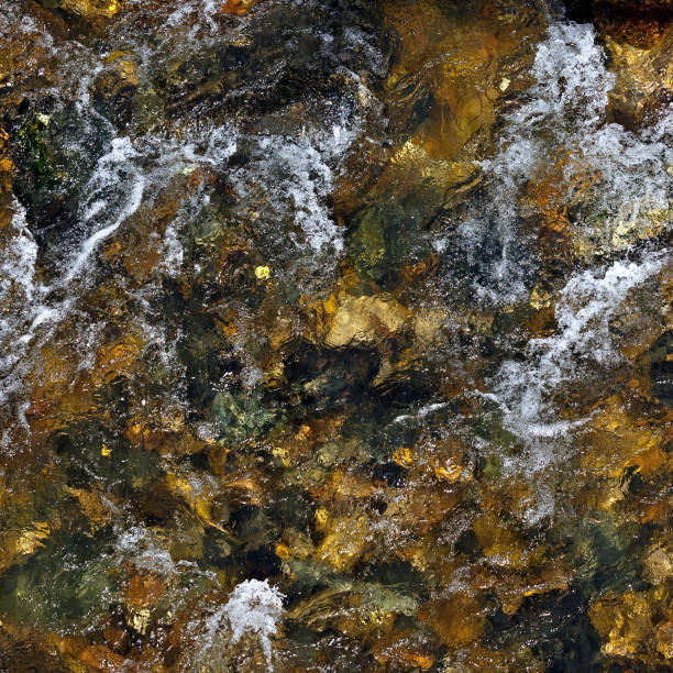 istock Clear water of a mountain river with a rocky bottom. 1183799922
