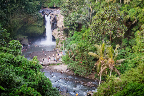 istock Tegenungan waterfall in Bali 1183800078