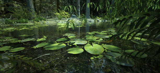 istock Enchanting Magical Forest with a Pond and Water Lilies 1183801258