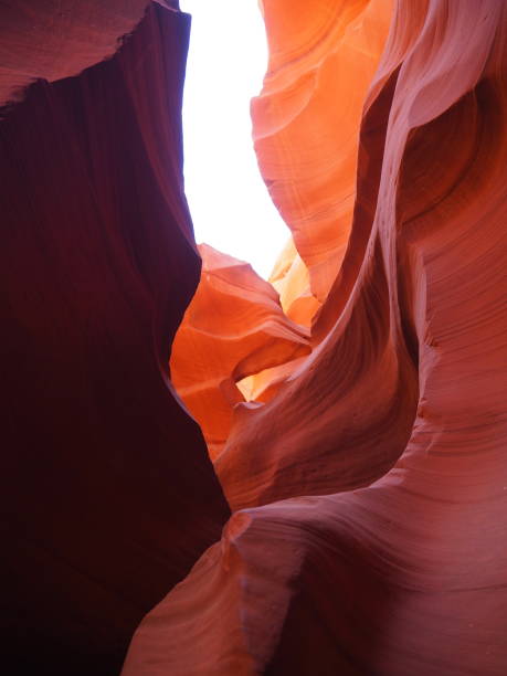 istock Lower Antelope Canyon at midday, Arizona, USA 1183801387