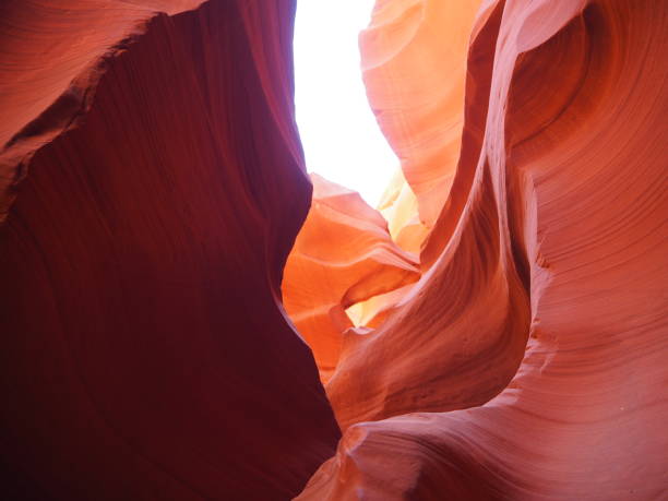 istock Lower Antelope Canyon at midday, Arizona, USA 1183801402