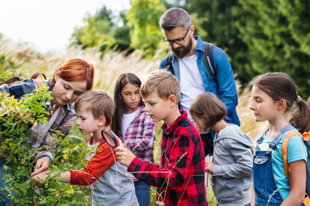 grupo de crianças da escola com professor no desengate de campo na natureza, prendendo a ciência. - science education school offspring - fotografias e filmes do acervo