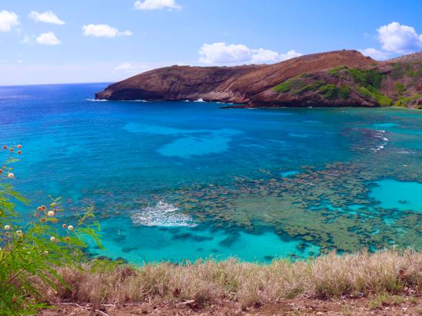 playa colorida hawaiana azul turquesa y verde - hawaii islands big island waikiki beach fotografías e imágenes de stock