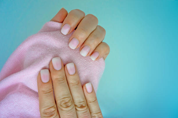 Stylish Beautiful Manicure Pink And White Light Gradient Ombre With A Pink  Sweater On Blue Background Stock Photo - Download Image Now - iStock