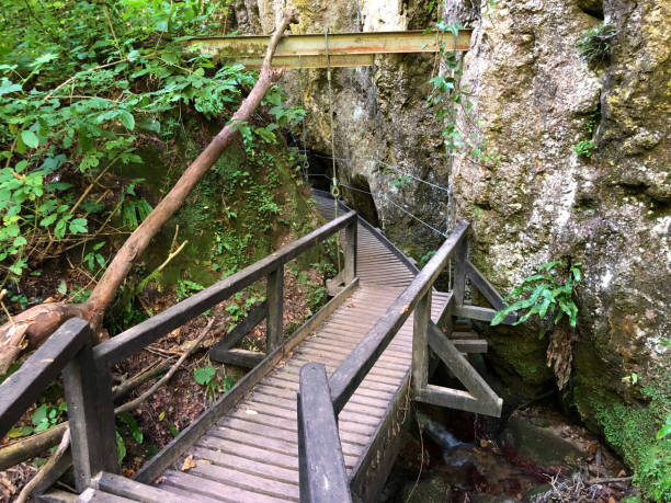 istock Walking and hiking trails or Counts trail or Poucna Grofova staza 1183809021