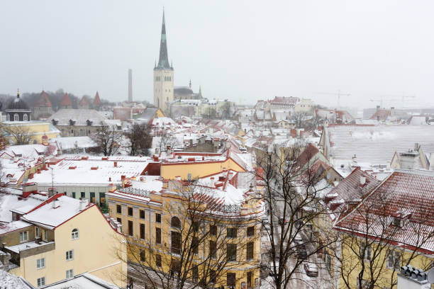 aerial cityscape view of tallinn old medieval town on winter day. st. olaf's church spire visible in the distance. - roof roof tile rooster weather vane imagens e fotografias de stock