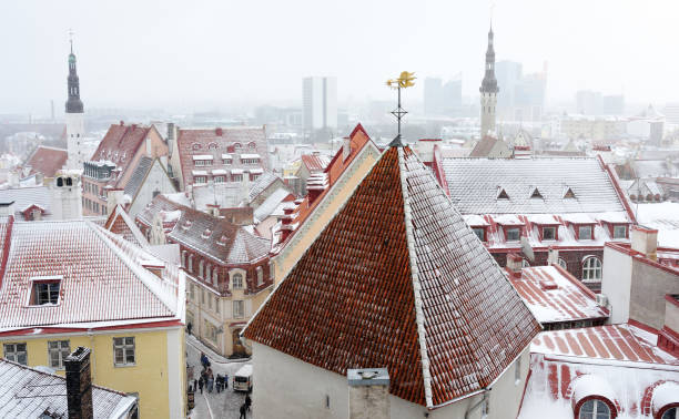 aerial cityscape view of tallinn old town on winter day. red rooftops from tiles, golden cockerel weathervane, town hall spire, office buildings skyscrapers far away. - roof roof tile rooster weather vane imagens e fotografias de stock