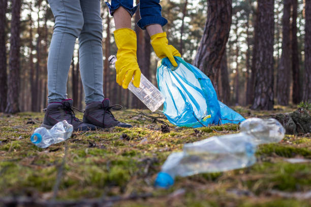istock Make the Earth clean! Volunteer is cleaning forest from plastic pollution. 1183812057