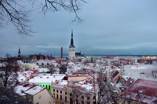 aerial cityscape view of tallinn old medieval town on winter day. st. olaf's church spire visible in the distance. - roof roof tile rooster weather vane imagens e fotografias de stock