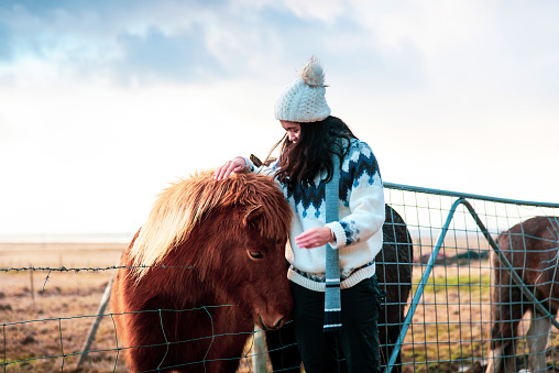 Traveler making friends with Icelandic horses on Iceland road trip