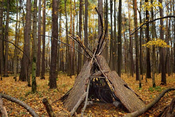 istock Teepee hut in forest on autumn day. 1183813205