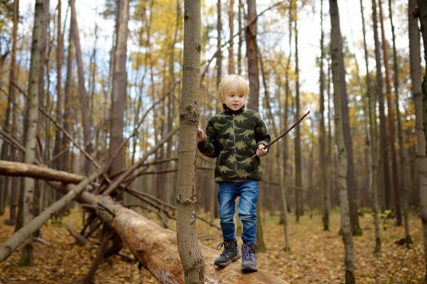 istock Little boy play with stick in forest on autumn day. 1183813659