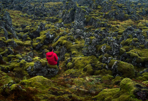 istock Man enjoying lava field view in Iceland 1183813799