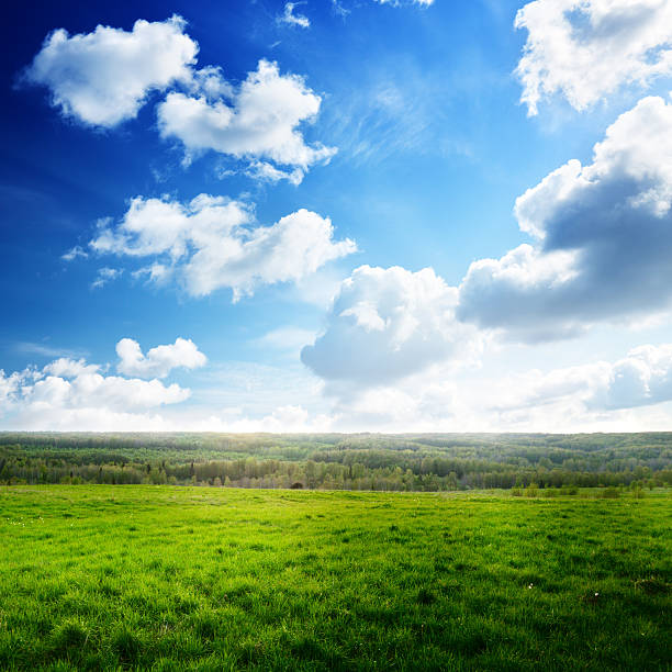 istock field of spring grass and sunset 118381388