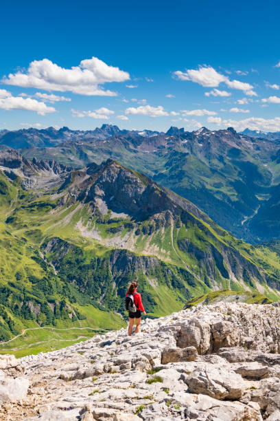 istock View to the Alps in Austria 1183815737