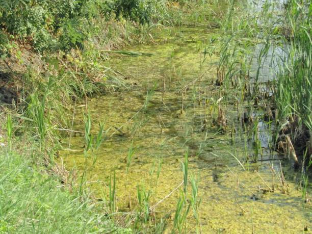 istock View of a section of canal 1183816452