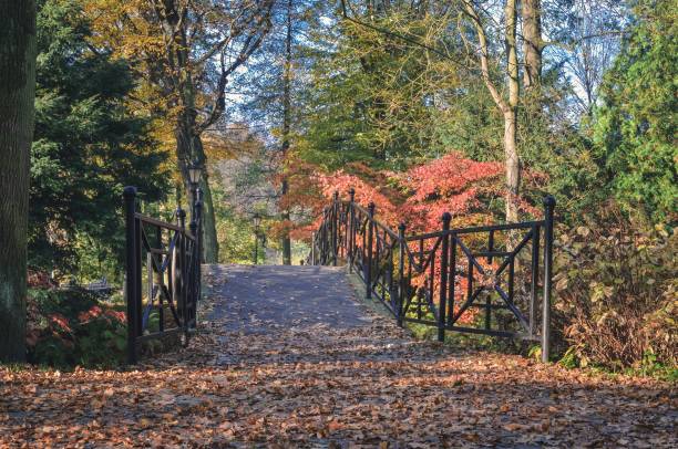 istock Colorful autumn landscape. 1183820318
