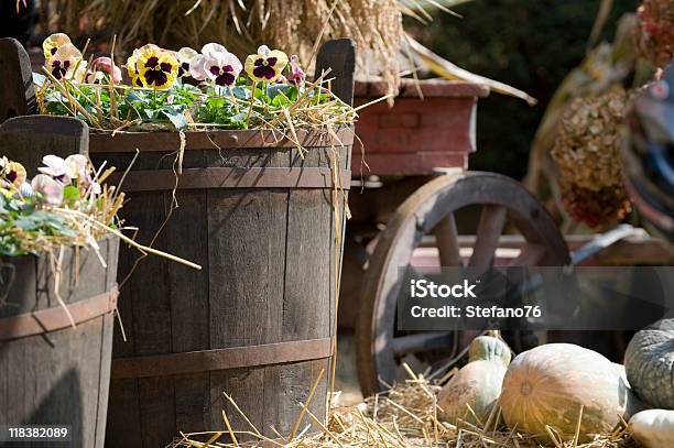 Catini Stockfoto und mehr Bilder von Alt - Alt, Alterungsprozess, Behälter